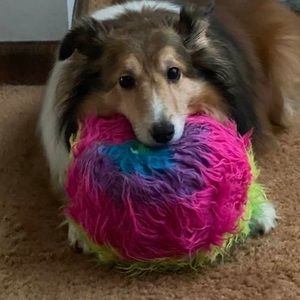 Meet your Posher, Jayne